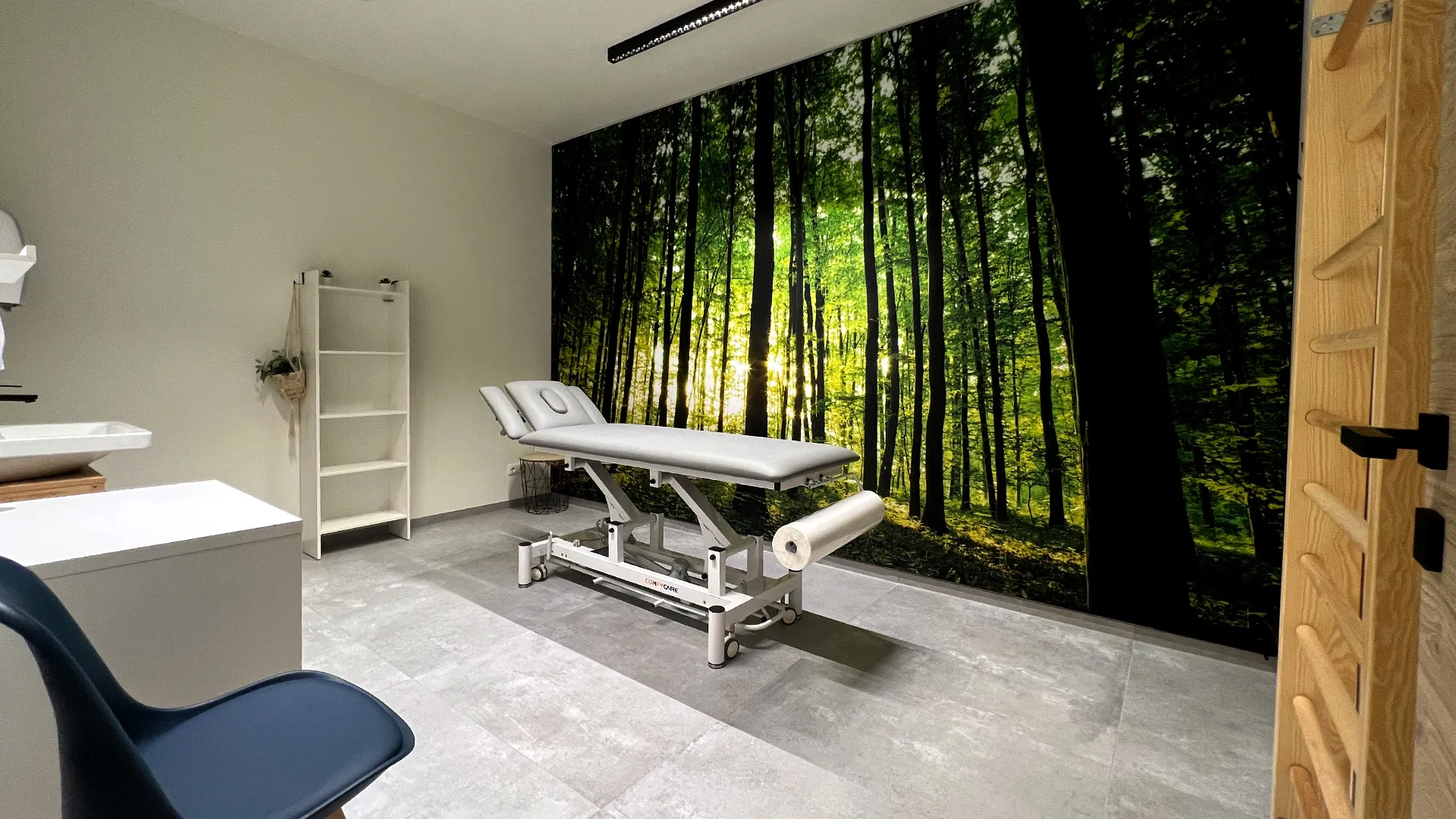 Ein heller, modernen Raum mit Waldtapete und Behandlungsliege.